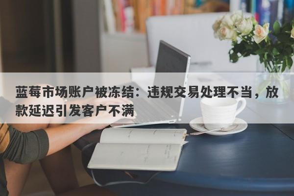 蓝莓市场账户被冻结：违规交易处理不当，放款延迟引发客户不满-第1张图片-要懂汇