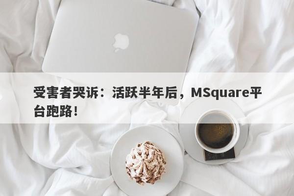 受害者哭诉：活跃半年后，MSquare平台跑路！-第1张图片-要懂汇