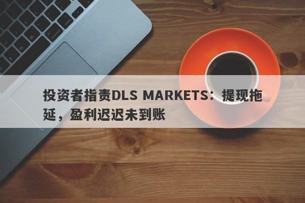 投资者指责DLS MARKETS：提现拖延，盈利迟迟未到账-第1张图片-要懂汇