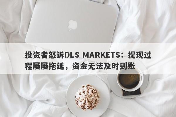 投资者怒诉DLS MARKETS：提现过程屡屡拖延，资金无法及时到账-第1张图片-要懂汇