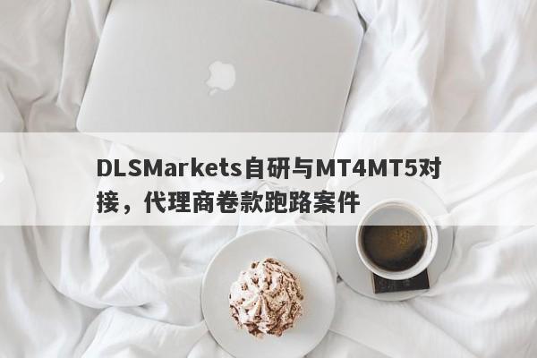 DLSMarkets自研与MT4MT5对接，代理商卷款跑路案件-第1张图片-要懂汇