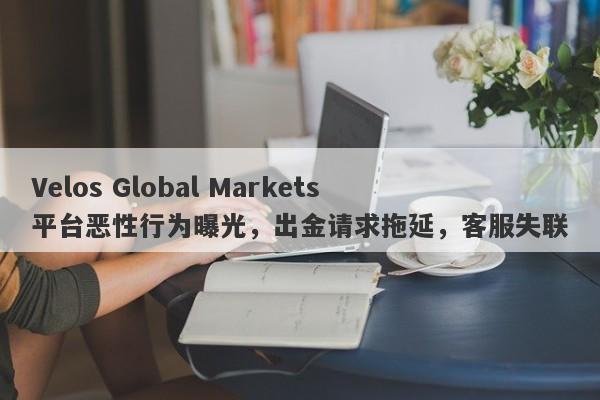 Velos Global Markets平台恶性行为曝光，出金请求拖延，客服失联-第1张图片-要懂汇