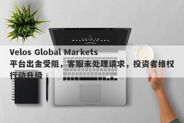 Velos Global Markets平台出金受阻，客服未处理请求，投资者维权行动升级-第1张图片-要懂汇